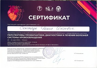 Сокольчук Денис Игоревич