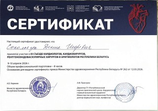 Сокольчук Денис Игоревич